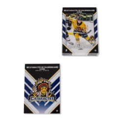 Cartes à Jouer Photos Des Joueurs Saison 2023-2024 - Cataractes