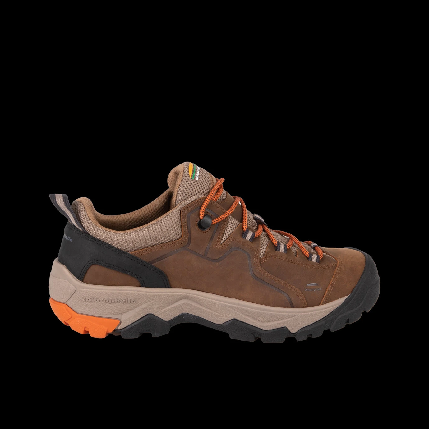 ALBALI - Souliers De Plein Air Hommes - Chlorophylle 3 ALBALI - Souliers De Plein Air Hommes - Chlorophylle