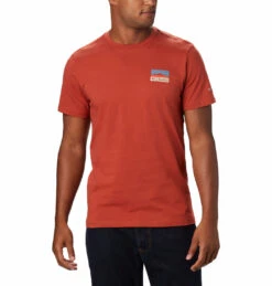 T-shirt Columbia Pour Hommes - RAPID RIDGE BACK GRAPHIC