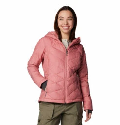 W HEAVENLY HOODED JACKET - Manteau Pour Femmes - Columbia