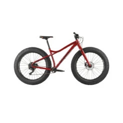 GROS LOUIS 3 - FatBike Pour Adultes - Louis Garneau