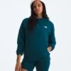 EVOLUTION HOODIE - Coton Ouaté Pour Femmes - North Face 1 EVOLUTION HOODIE - Coton Ouaté Pour Femmes - North Face -Go Sport Boutique north face evolution hoodie turquoise 795010 670 6d3fc734 b097 4448 a428 1b673ce0a5bf