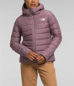 W ACONCAGUA 3 HOODIE - Manteau Pour Femmes - North Face