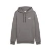 Coton Ouaté Puma Pour Hommes - HOODIE ESSENTIAL SMALL